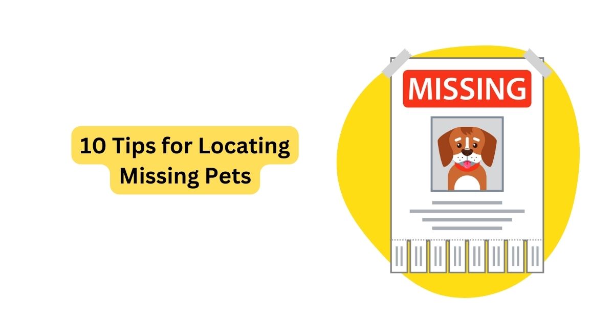 10-tips-for-locating-missing-pets-waggle