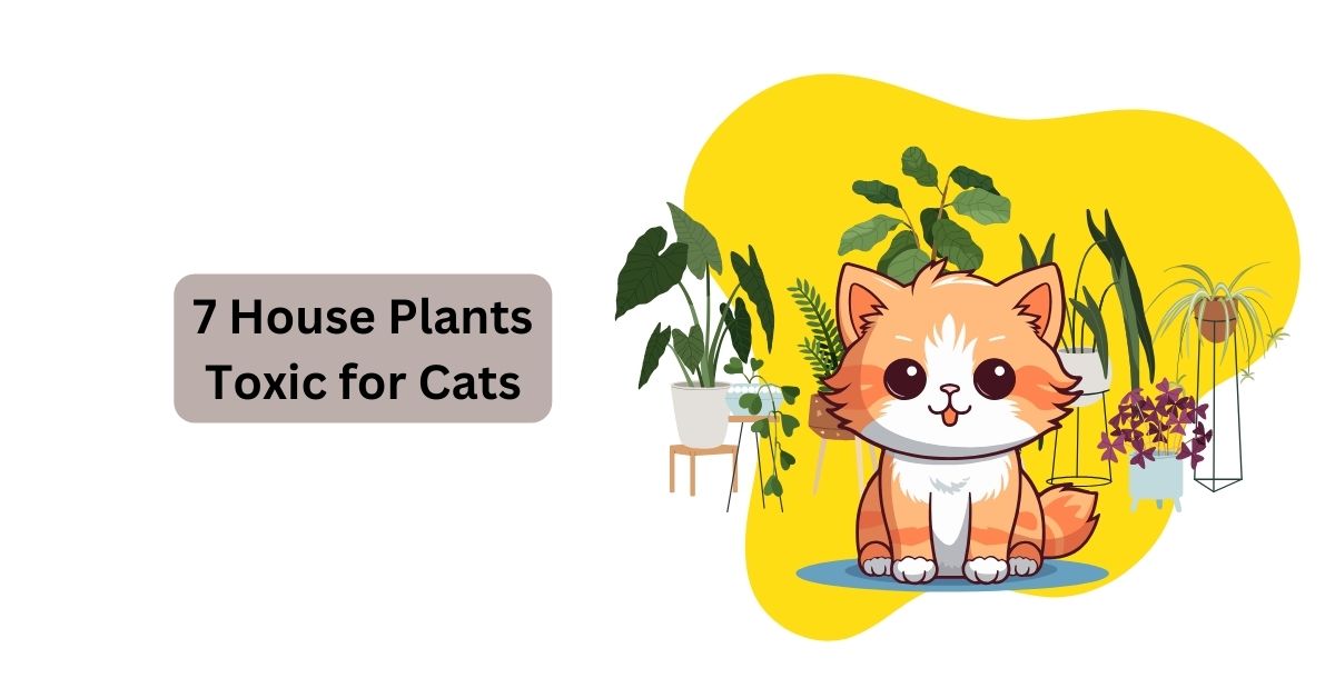 7-house-plants-toxic-for-cats-waggle