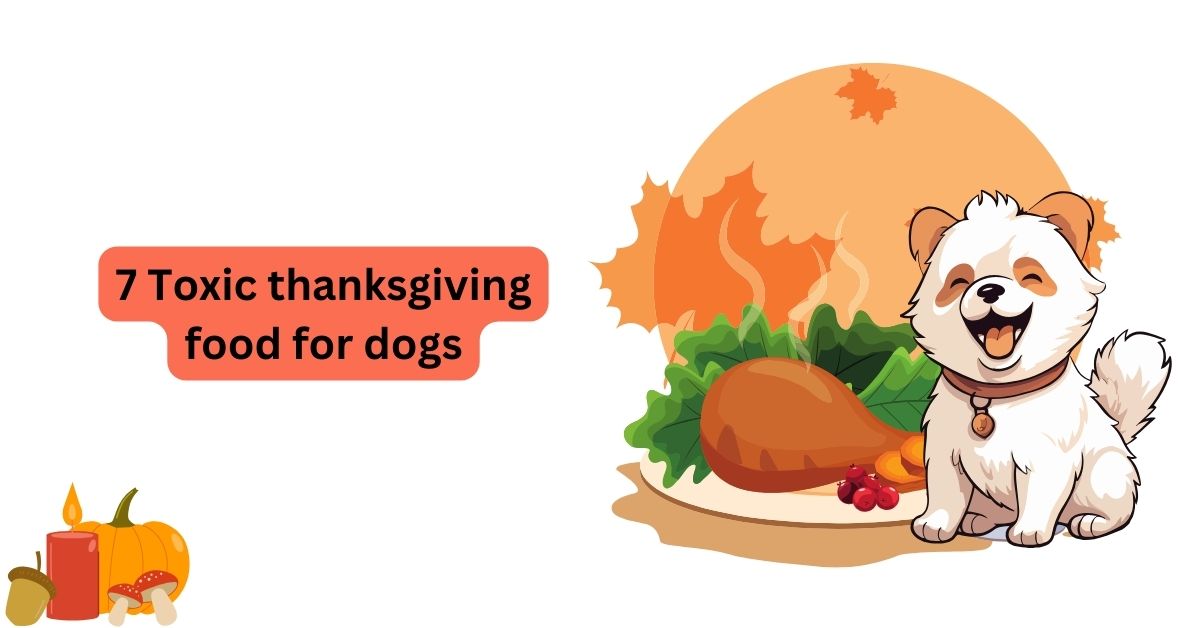 Thanksgiving gme Thanksgiving gme