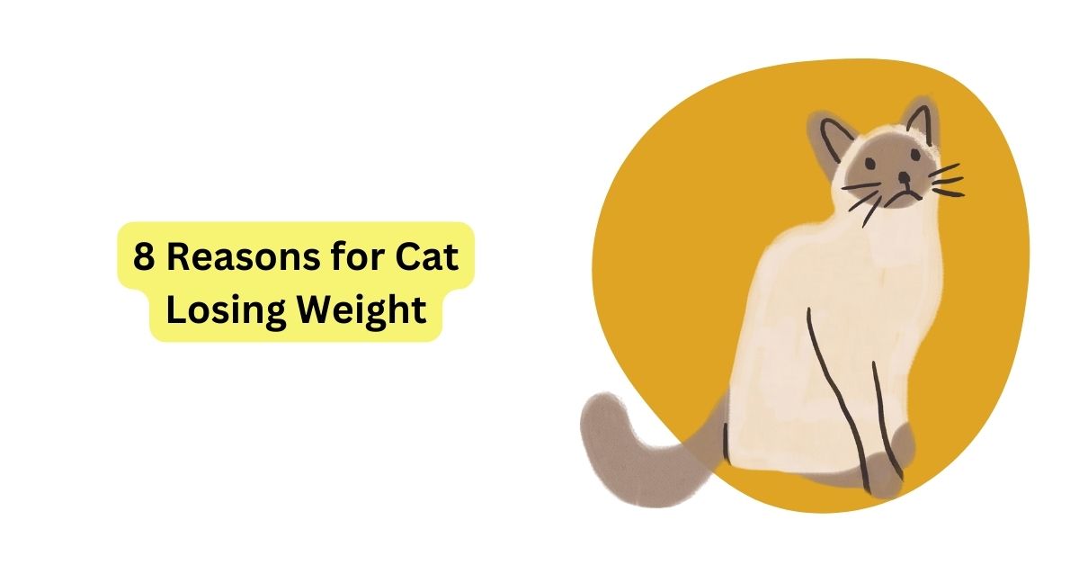 Unveiling the Mystery 8 Reasons for Cat Losing Weight Waggle