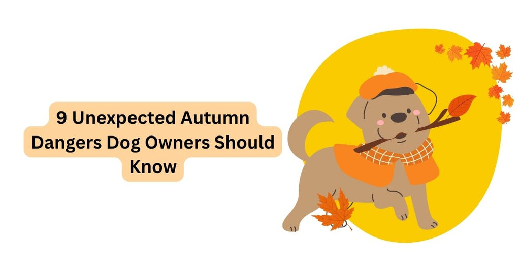 Hdhub4U: The Unexpected Dangers You Should Be Aware Of - g34dfpw