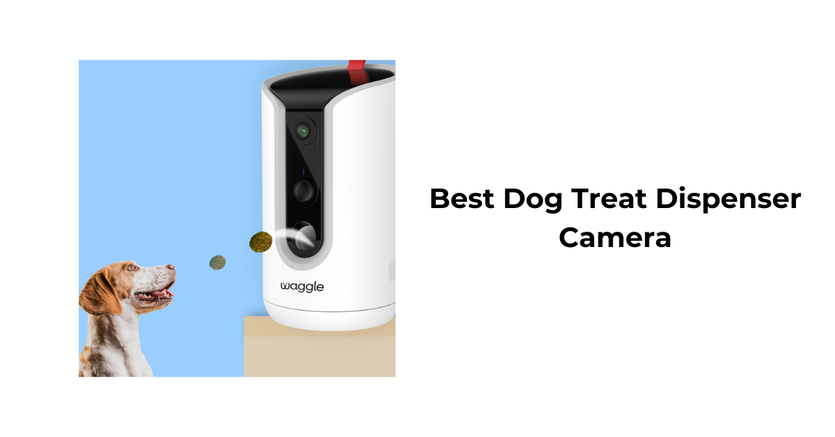 Best Dog Treat Dispenser Camera Waggle