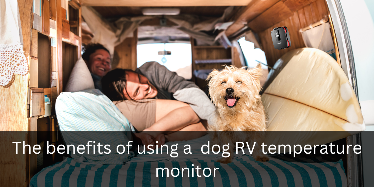 Benefits of Dog RV Temperature Monitor