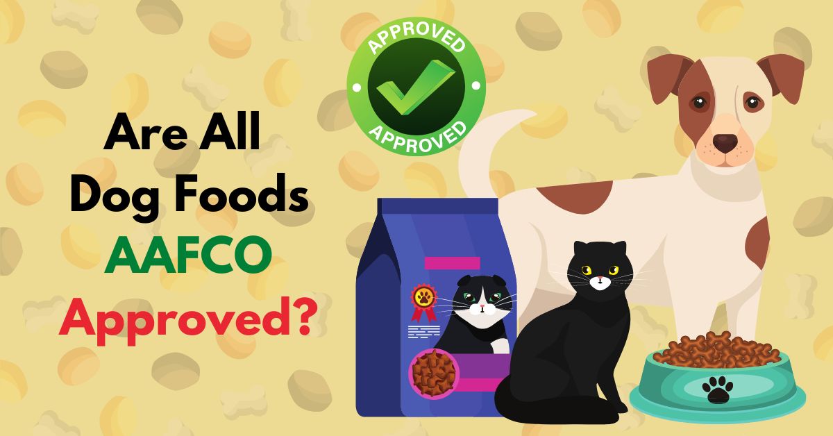 Aafco certified outlet cat food