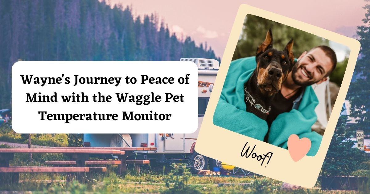 waggle monitor