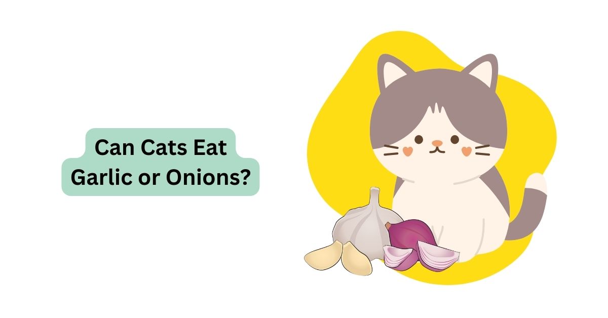 Can Cats Eat Garlic or Onions Waggle