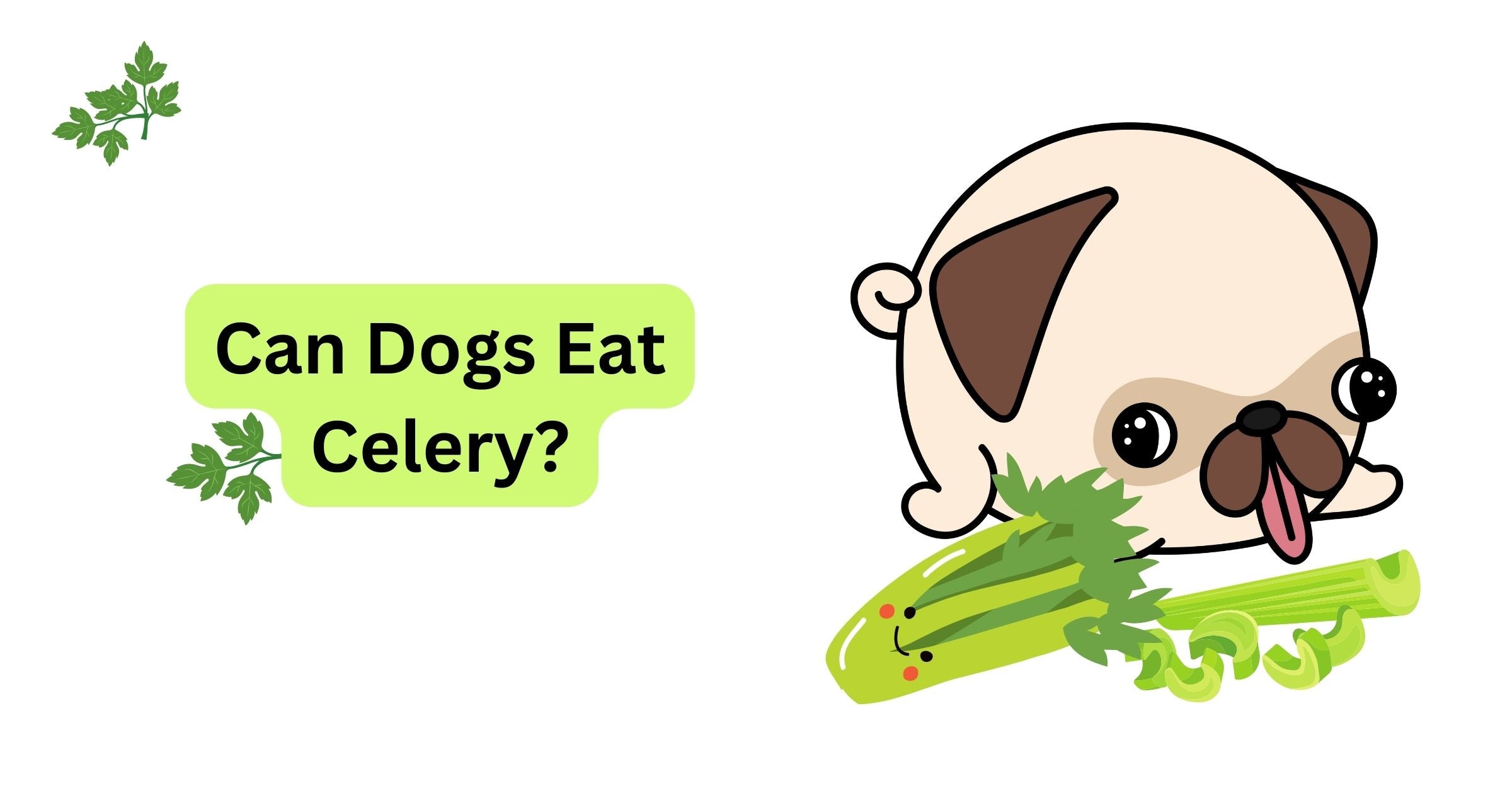 Can Dogs Eat Celery? Benefits of Celery for Dogs Waggle