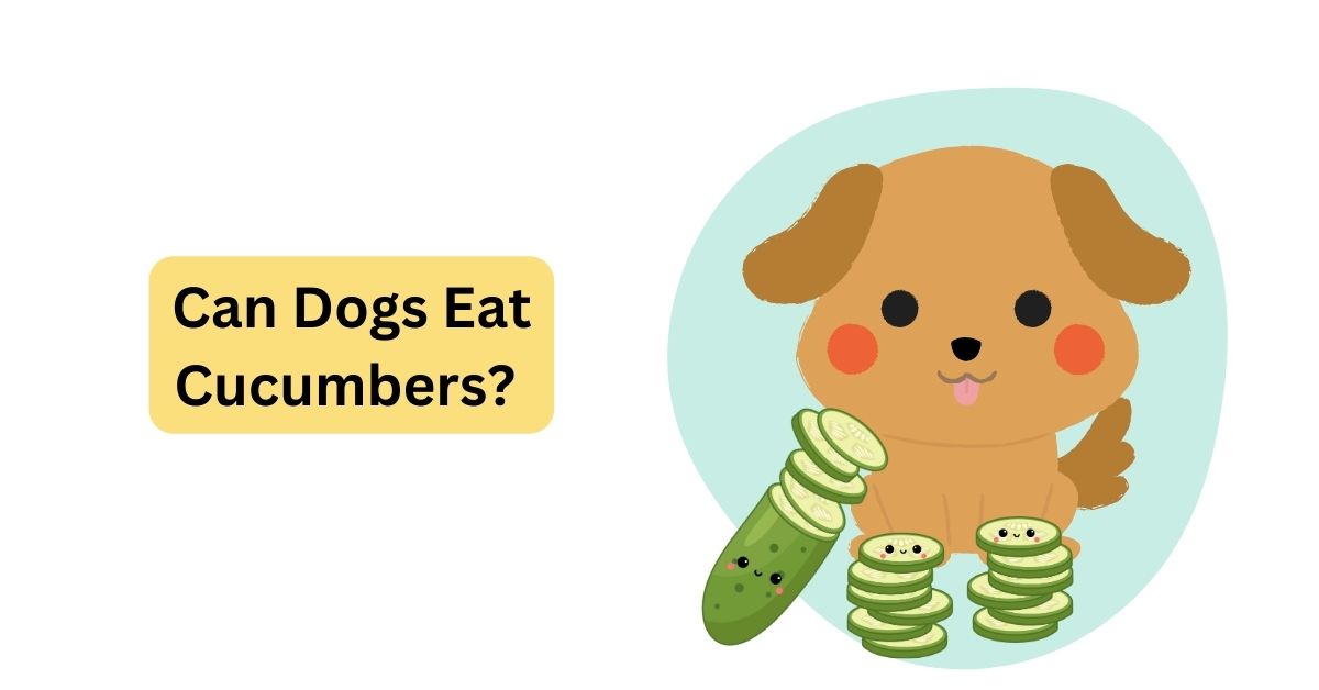 Can Dogs Eat Cucumbers? Exploring the Benefits & Precautions Waggle