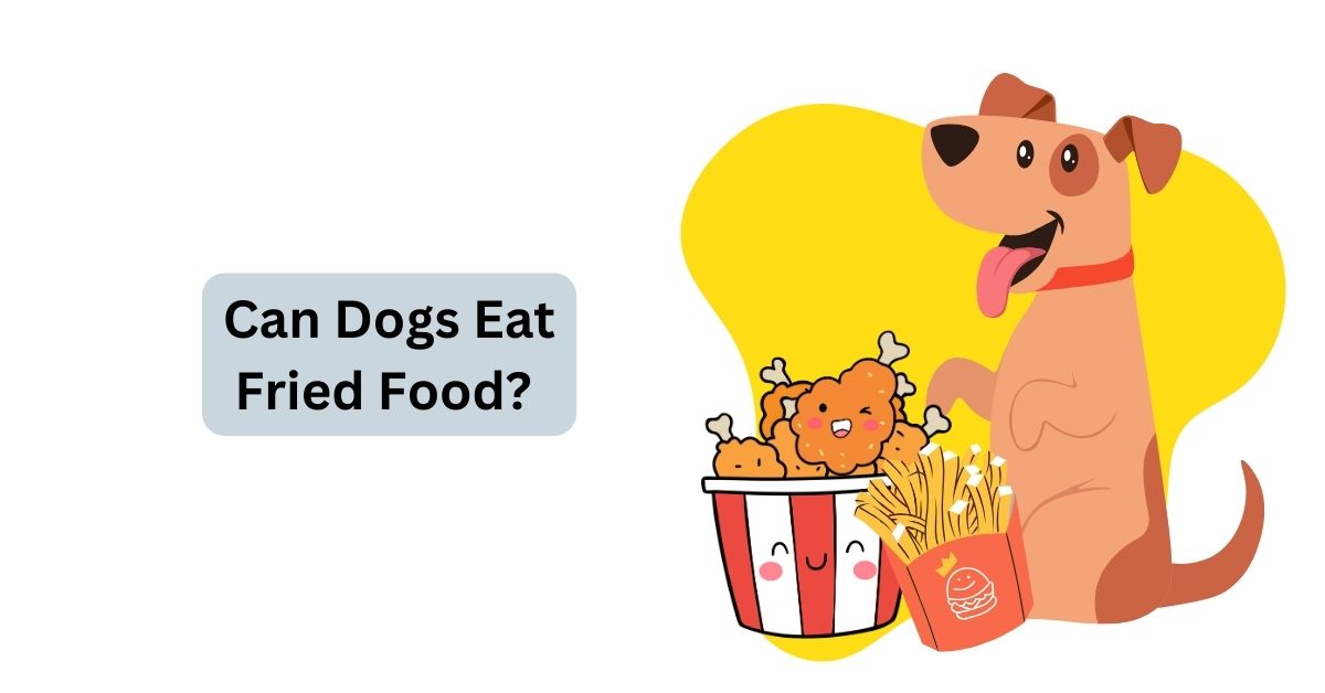 Can Dogs Eat Fried Food Waggle