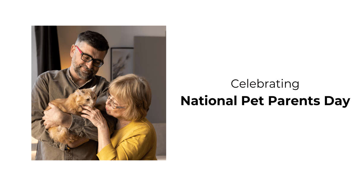 Celebrating National Pet Parents Day Deepening Your Connection with