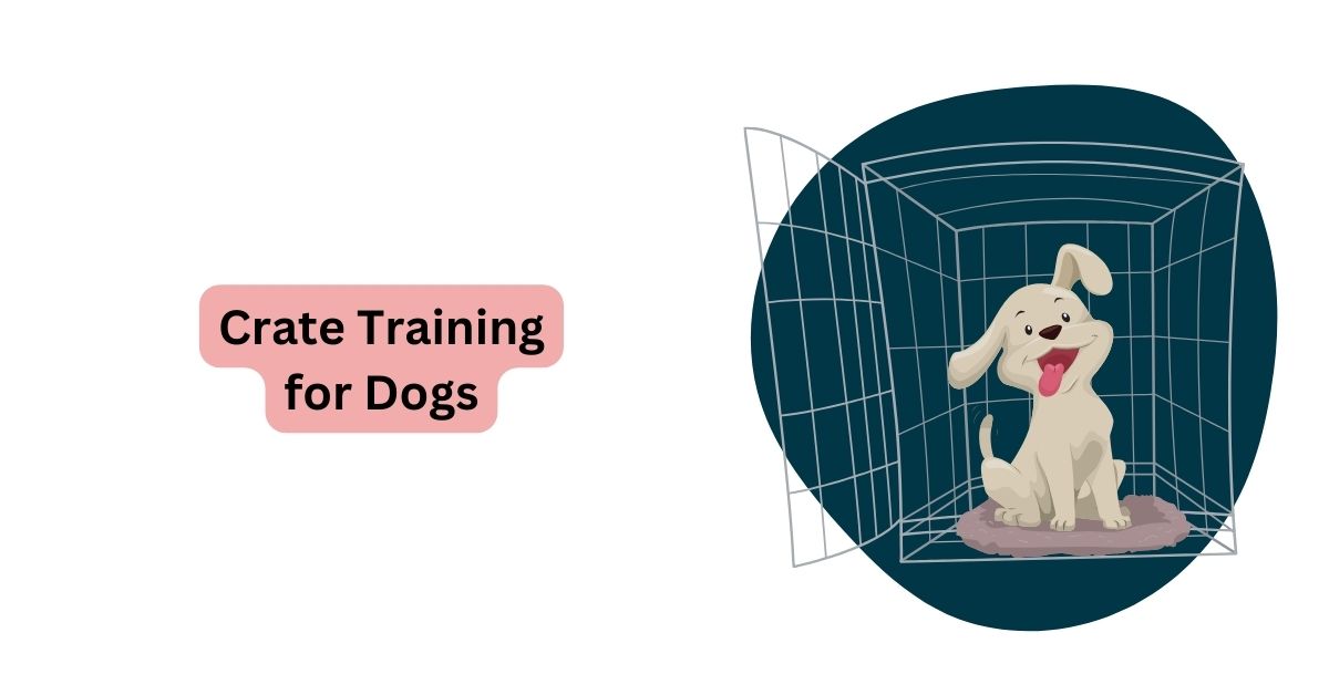 Crate Training for Dogs Is Crate Training Good for Dogs? Waggle