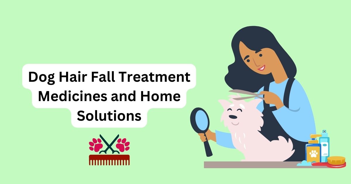 Dog Hair Fall Treatment Medicines and Home Solutions Waggle