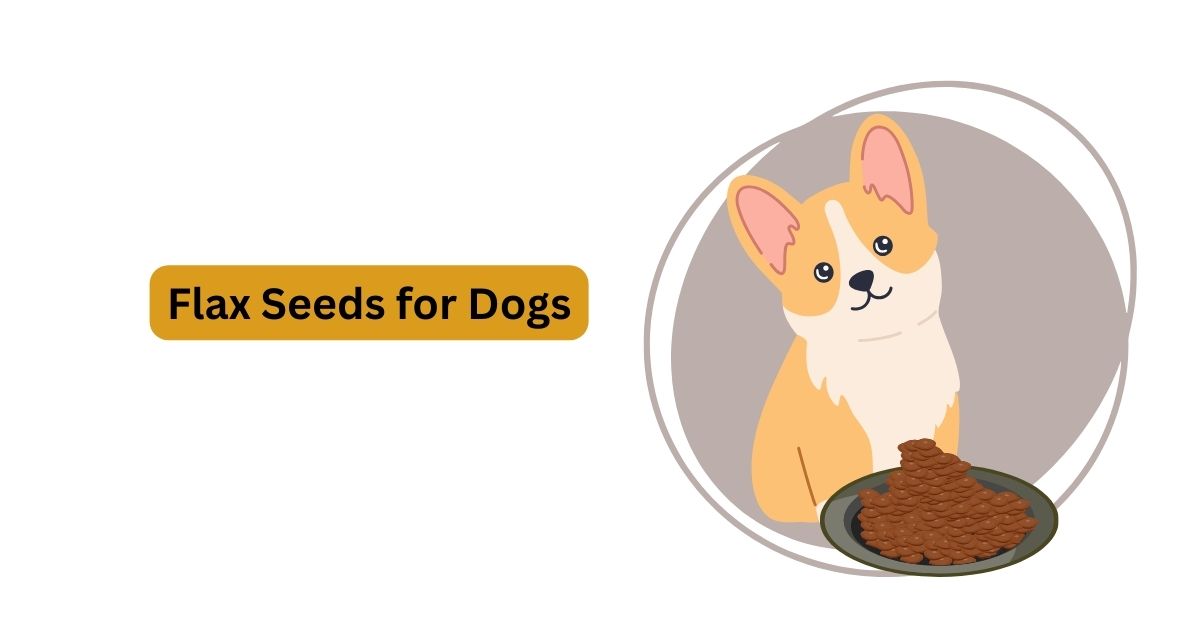 Flax Seeds for Dogs Benefits of Flax Seeds for Dogs Waggle