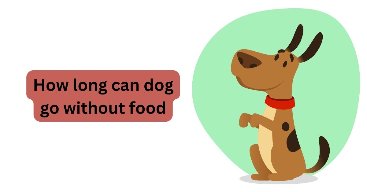 How Long Dogs Can Go Without Food Waggle how-long-dogs-can-go-without-food-waggle