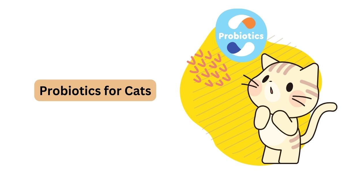 Probiotic Cat Food A Comprehensive Guide