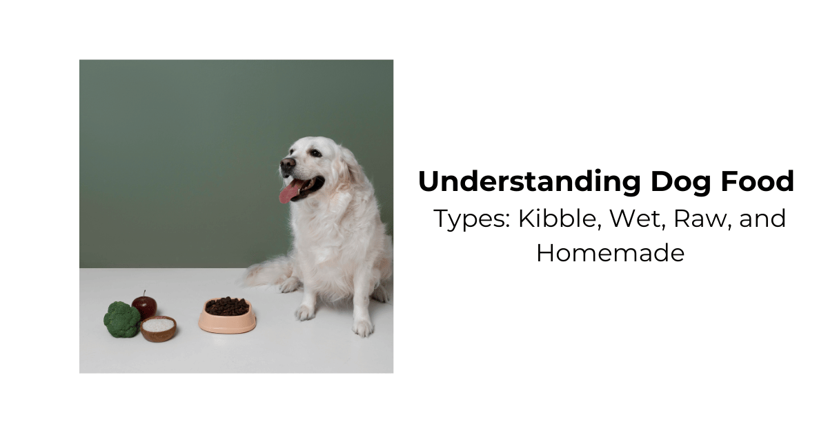 Understanding Dog Food Types Kibble Wet Raw and Homemade Waggle