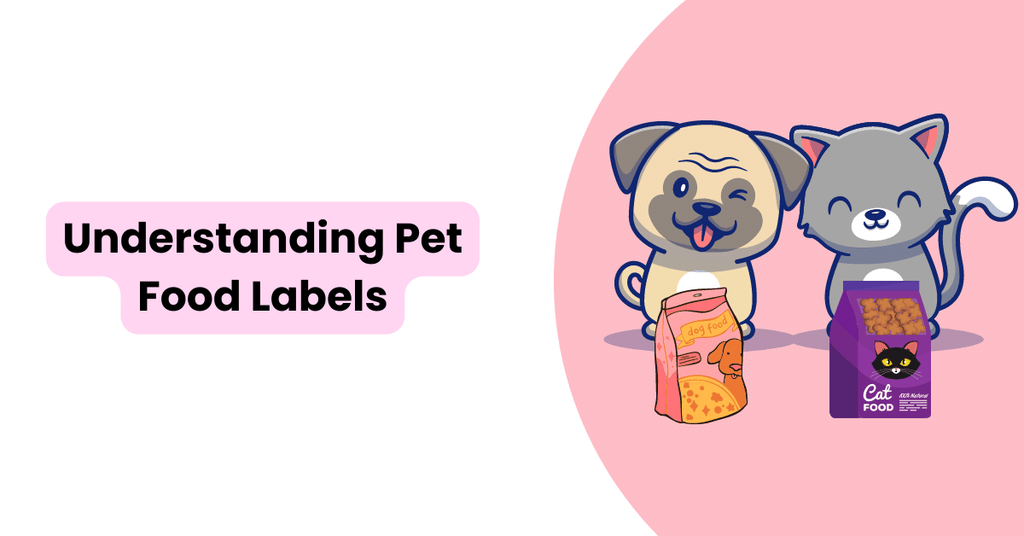 Understanding Pet Food Labels What to Look for & What to Avoid Waggle