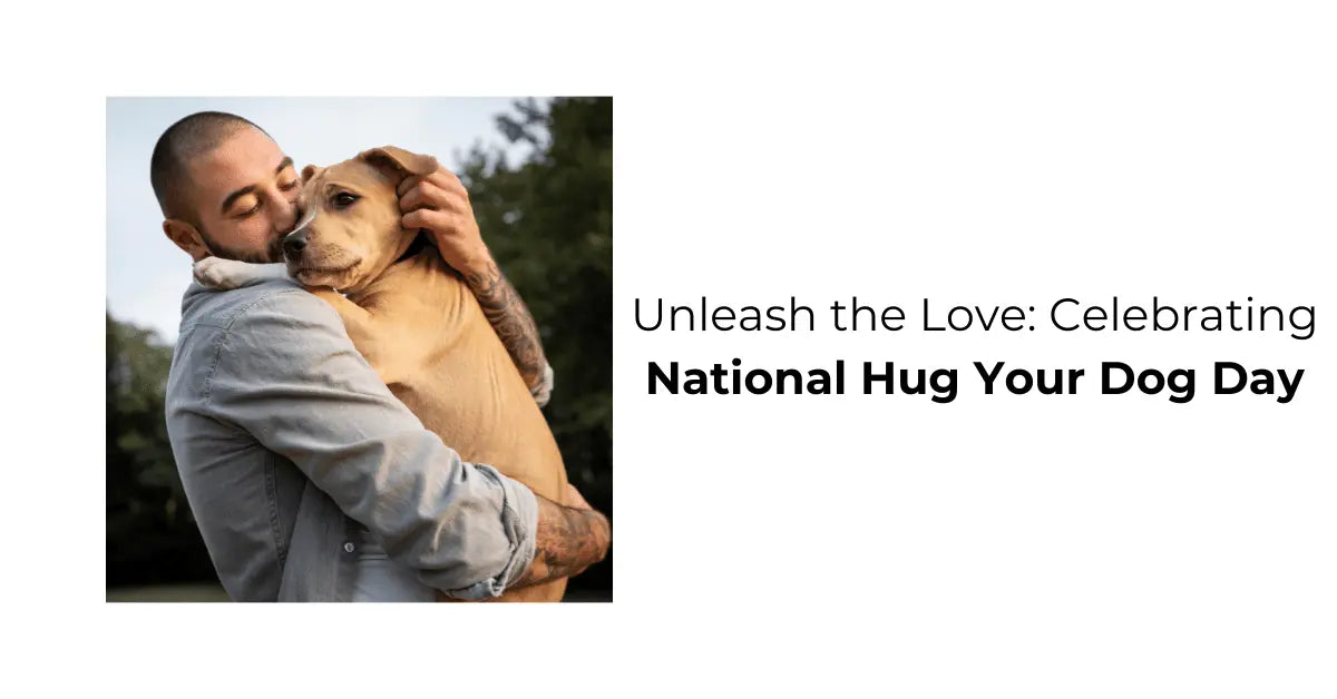 Unleash the Love Celebrating National Hug Your Dog Day Waggle