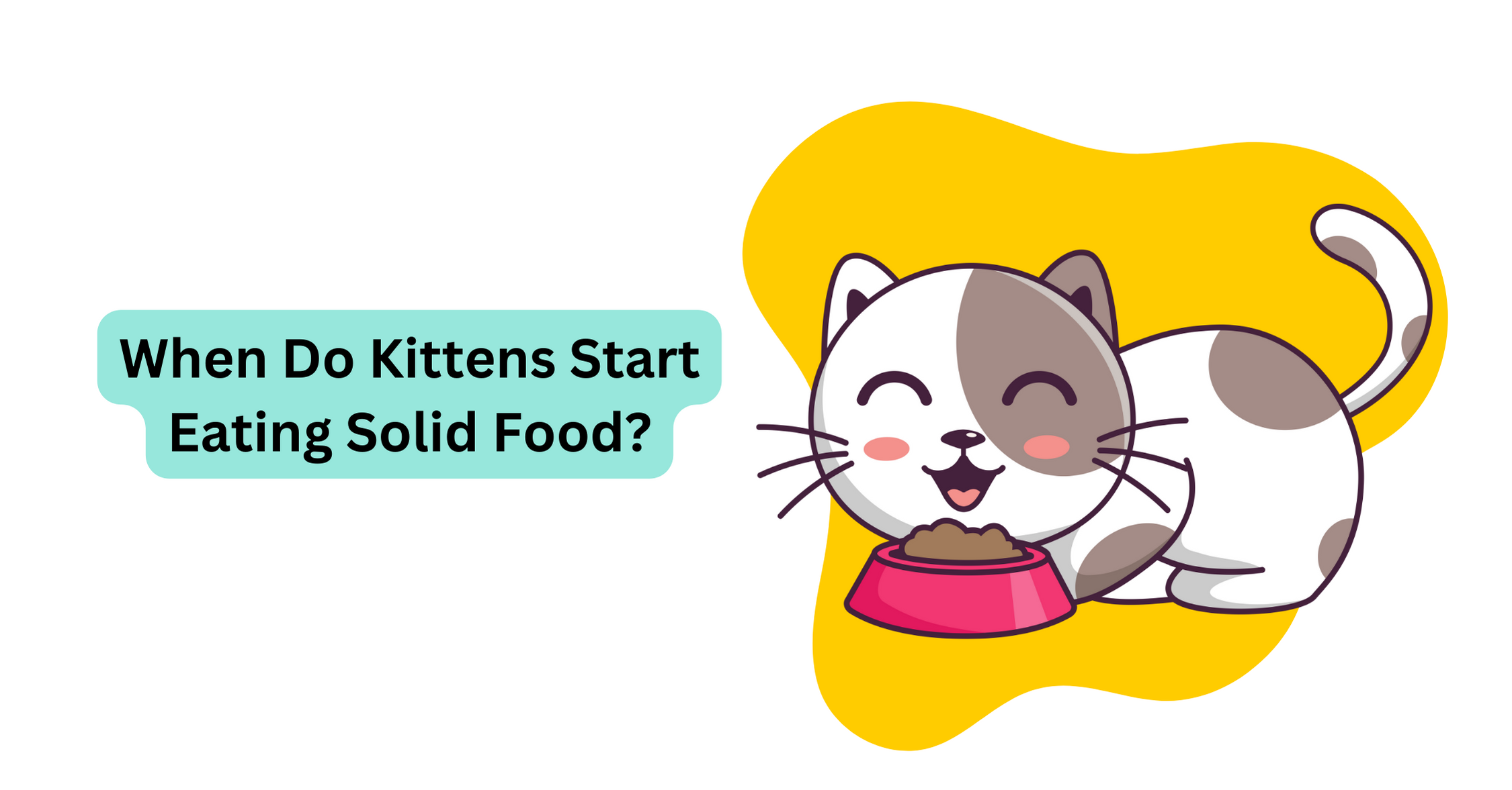 At what age do kittens start eating solid food best sale