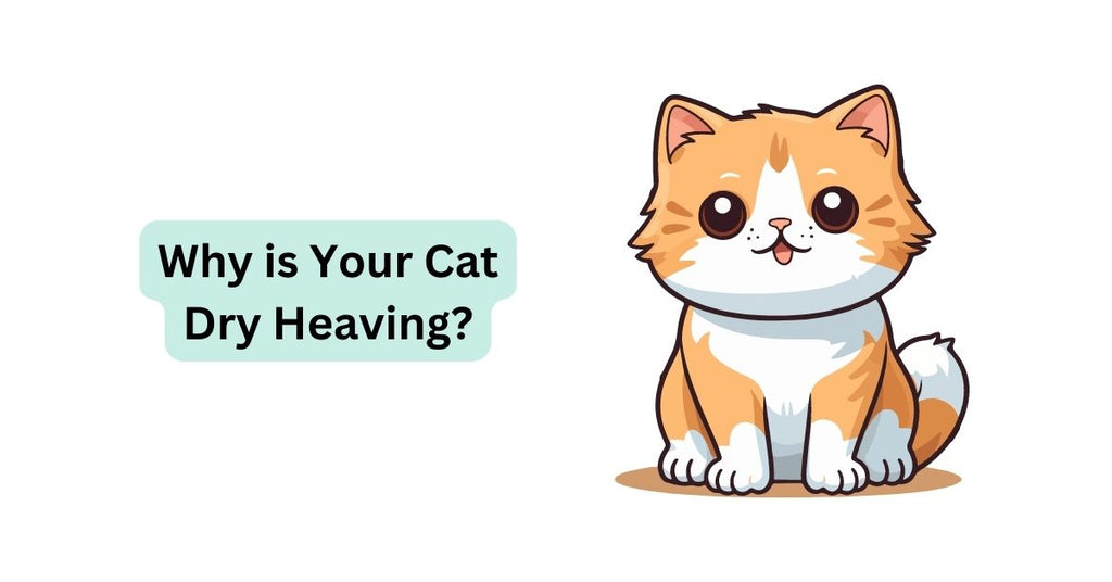 Why is Your Cat Dry Heaving? Waggle