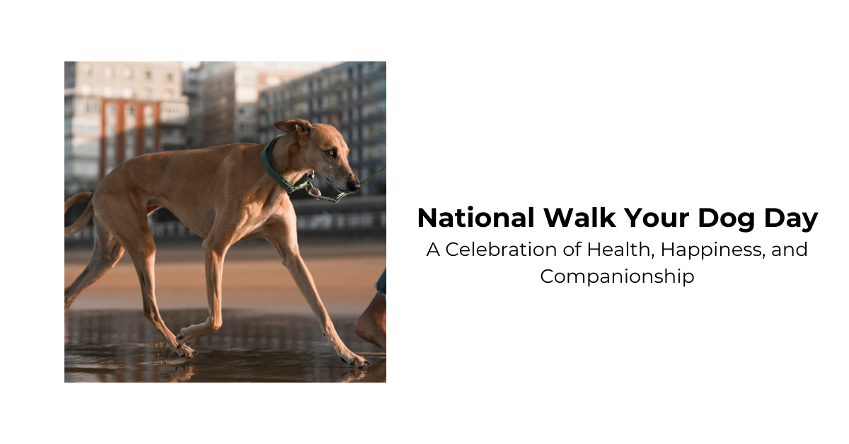 Celebrate National Walk Your Dog Day Enhance Wellbeing for You and