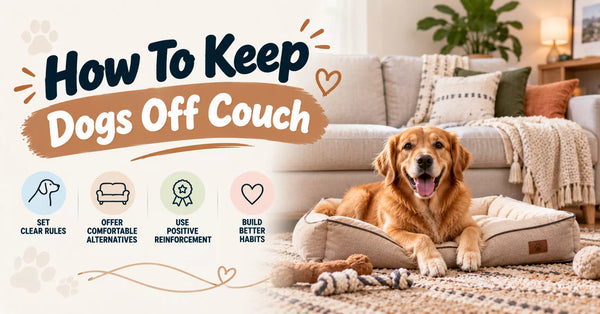 How To Keep Dogs Off Couch
