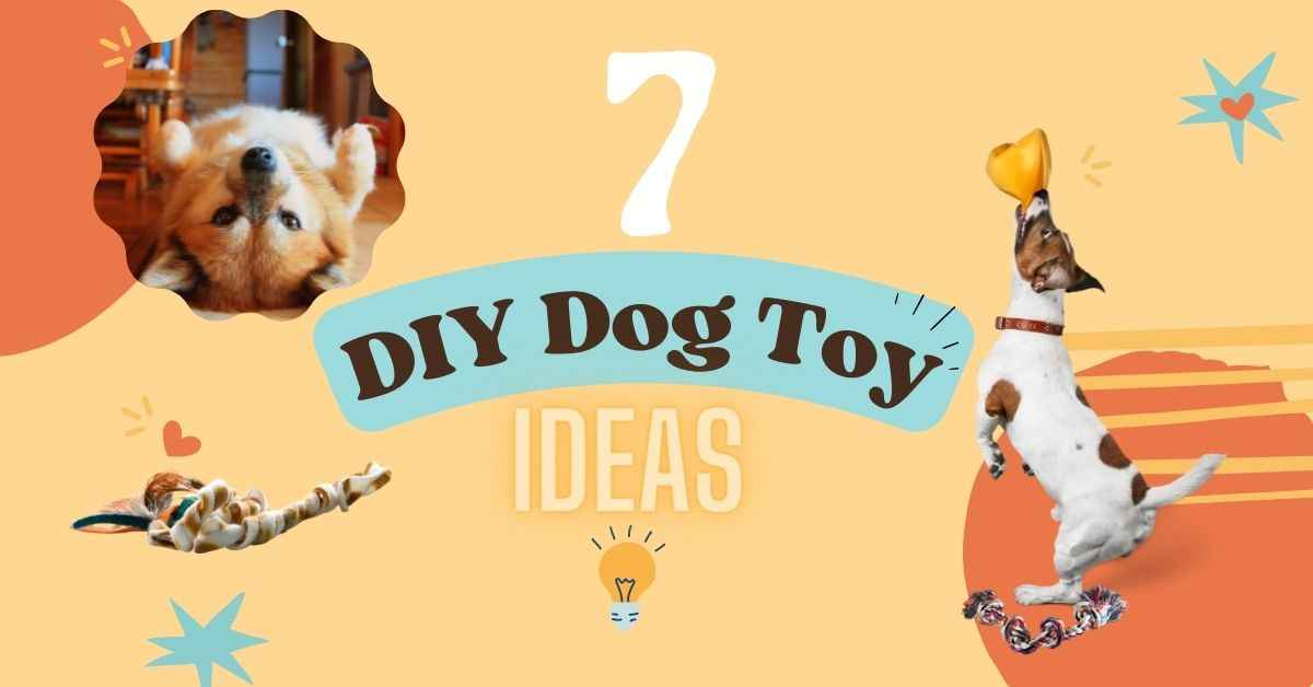 7 Fun-tastic Diy Dog Toy Ideas 