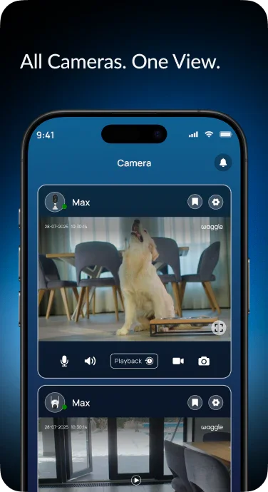 Connect in the Waggle app