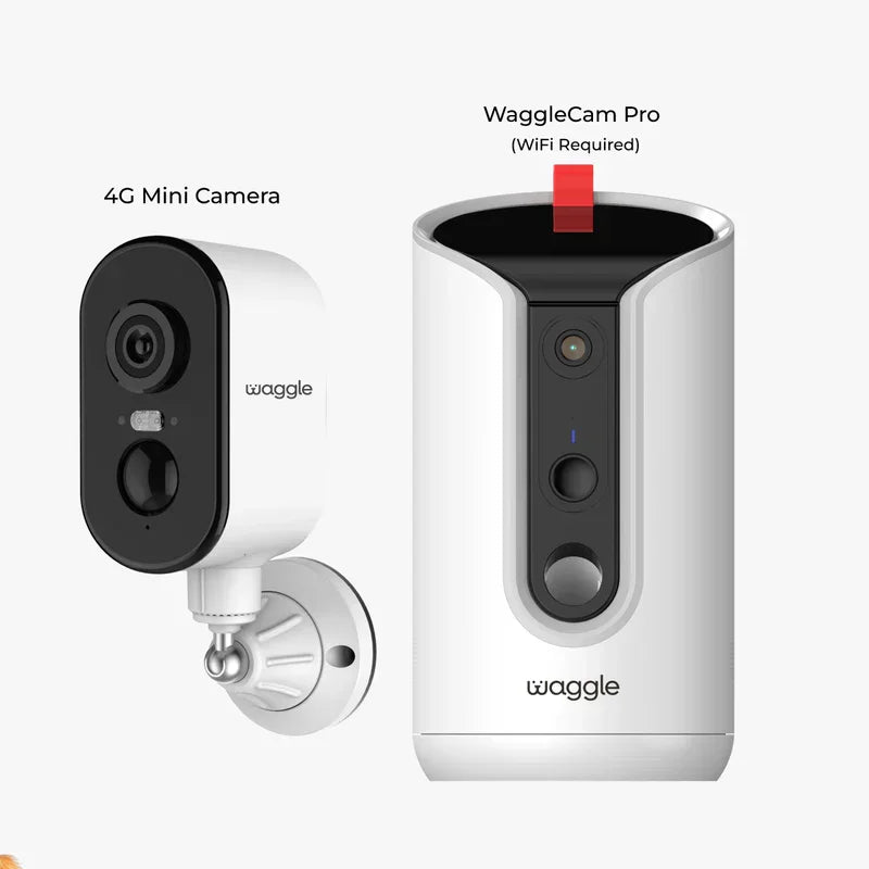 Waggle Anti-Anxiety Cam Bundle featuring calming pet camera with soothing features, designed to reduce pet anxiety and monitor pets.