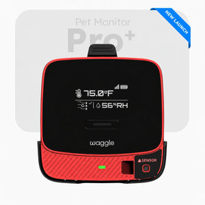 Waggle Pet Monitor — Pro+