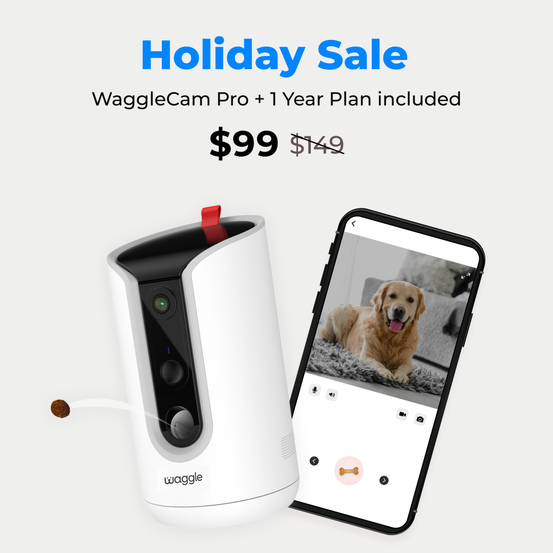 Best Pet Camera Waggle Cam Monitor Connect with Your Pets Anytime