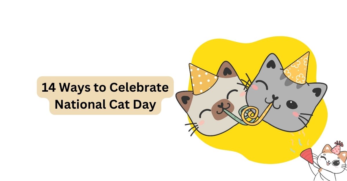 14 Ways to Celebrate National Cat Day Waggle®