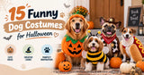 15 Funny Dog Costumes for Halloween