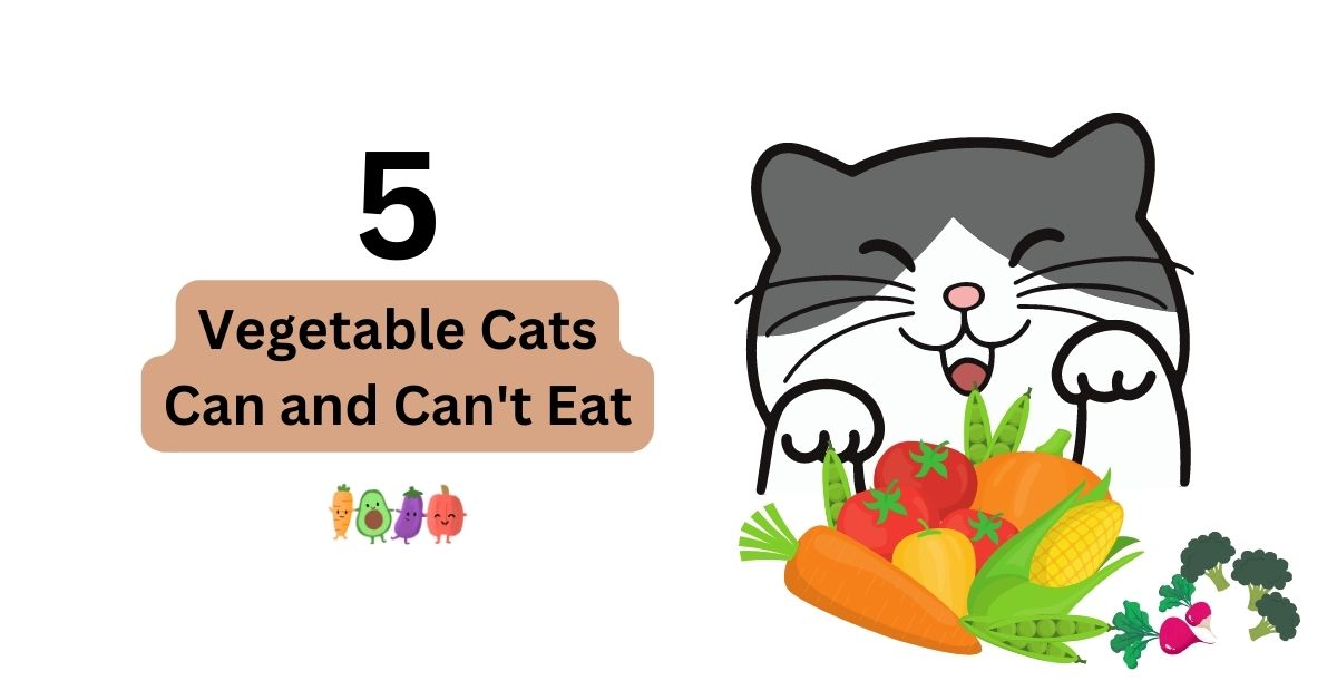 Can you feed cats vegetables sale