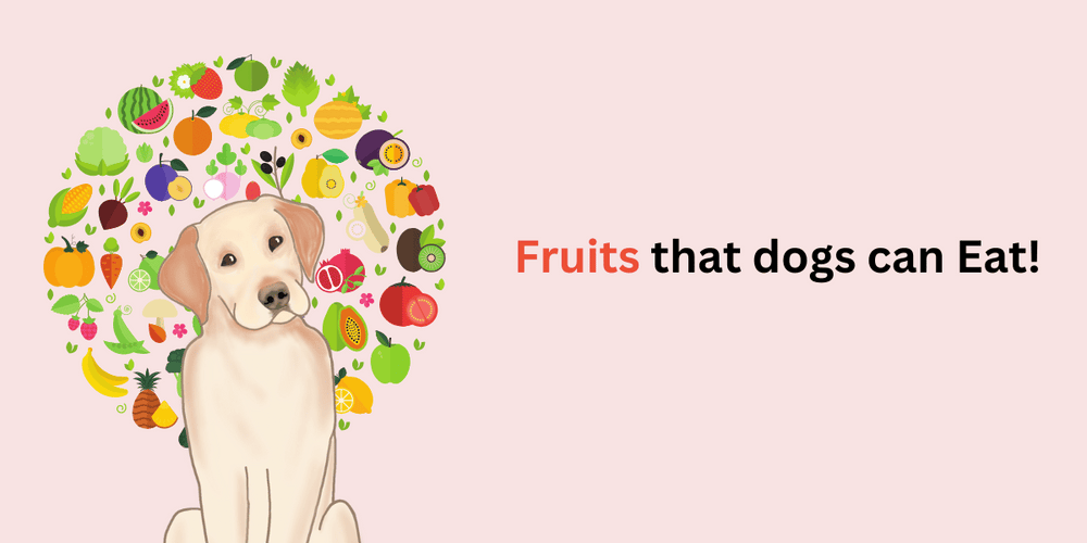 Fruits dogs cant sales have