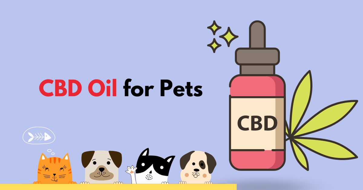 Is CBD oil good for pet? | Waggle®