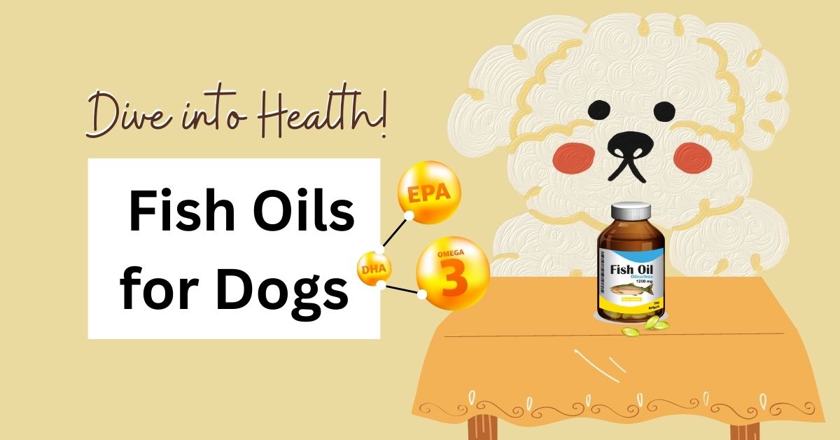 Fish oils for Dogs Benefits of fish oil for dogs Waggle