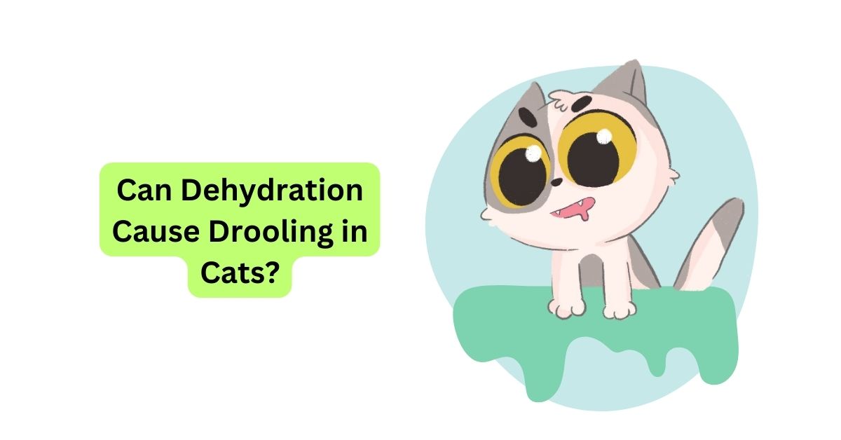 Can Dehydration Cause Drooling in Cats? | Waggle