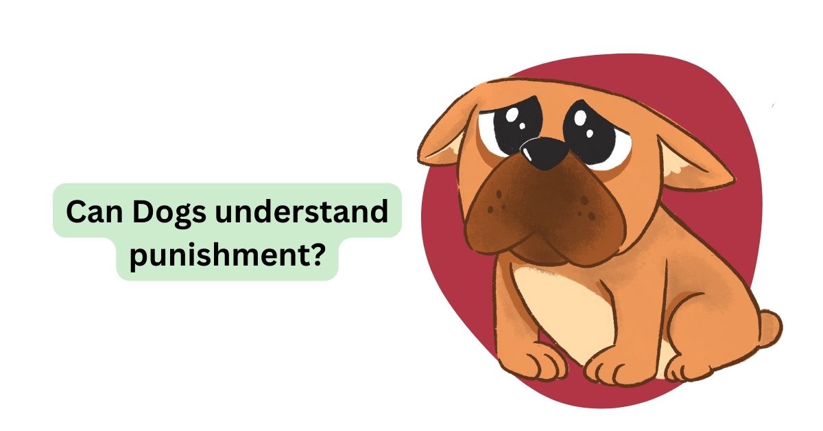 Can Dogs Understand Punishment? | Waggle