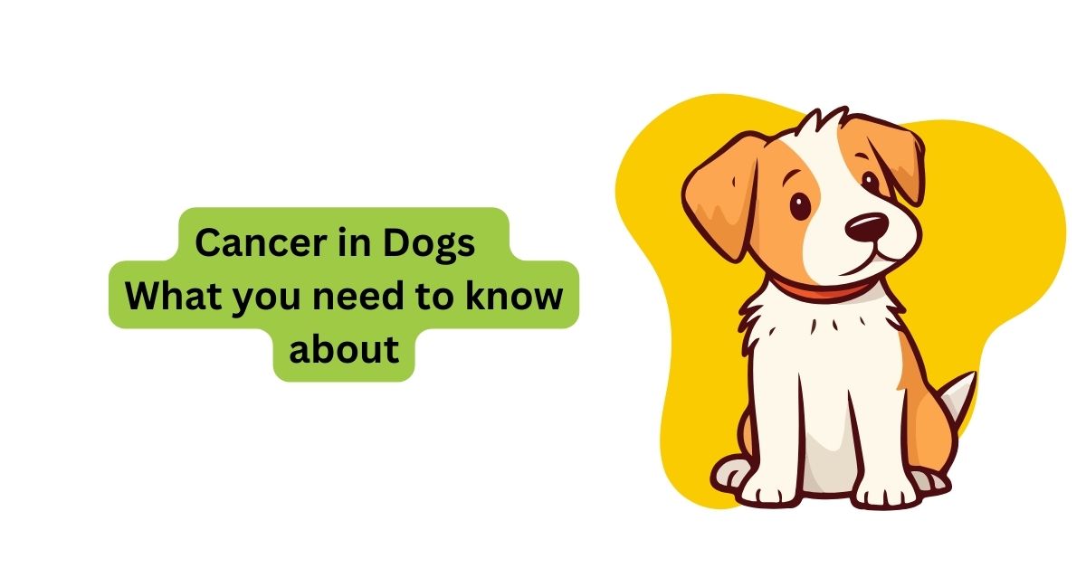 Cancer in Dogs | Signs of Cancer in Dogs | Waggle®