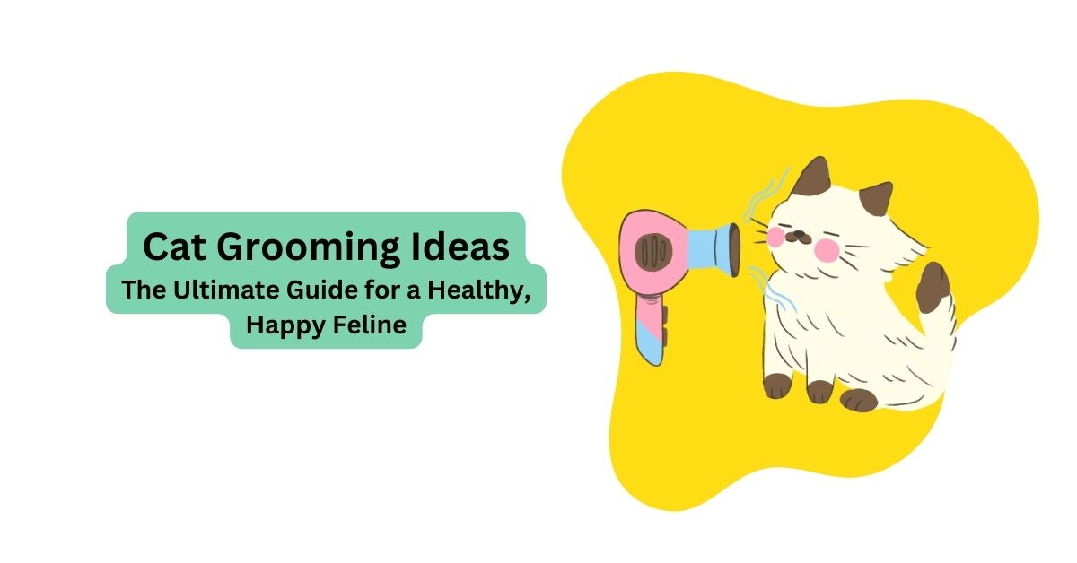 Cat Grooming Ideas | DIY Cat Grooming Ideas | Waggle