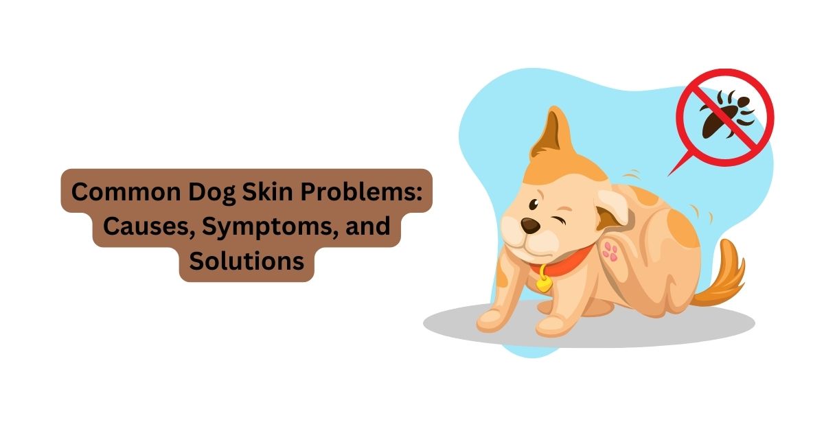 7 Common Dog Skin Problems: Causes, Symptoms, and Solutions | Waggle