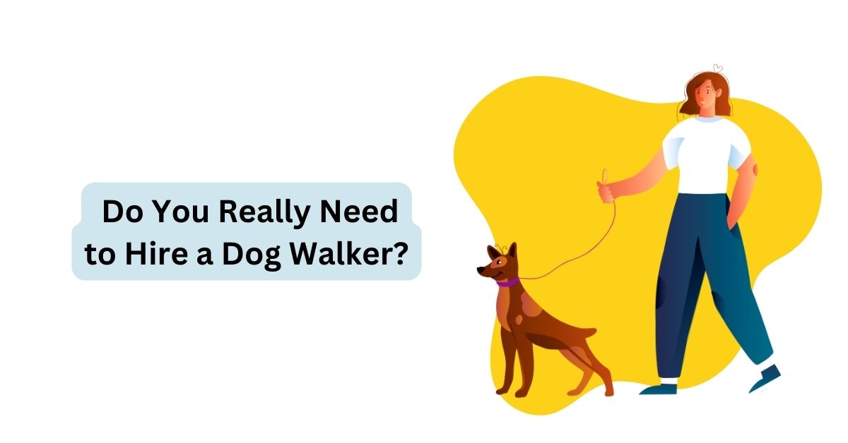 I need a dog hot sale walker