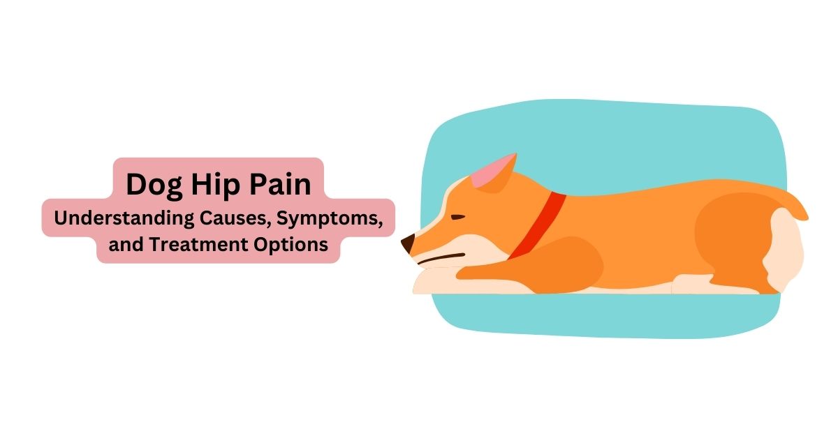 Dog hip pain home remedy, 5 Signs of Hip Problems in Dogs, Treatments ...