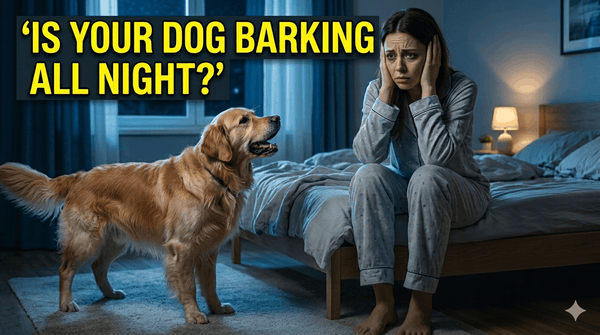 Is Your Dog Barking All Night? Try These Proven Tips!