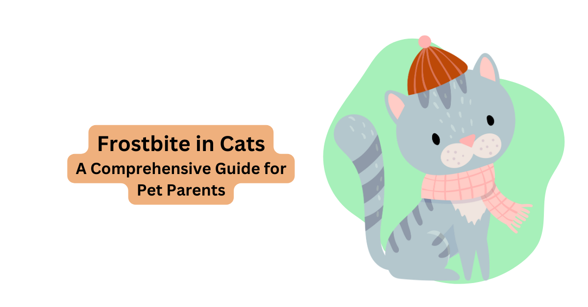 Frostbite in Cats Signs of Frostbite in Cats Waggle®