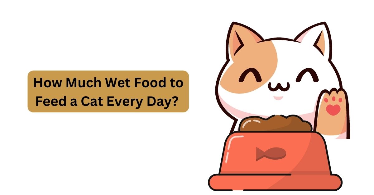 How Much Wet Food To Feed A Cat Every Day Waggle how-much-wet-food-to-feed-a-cat-every-day-waggle