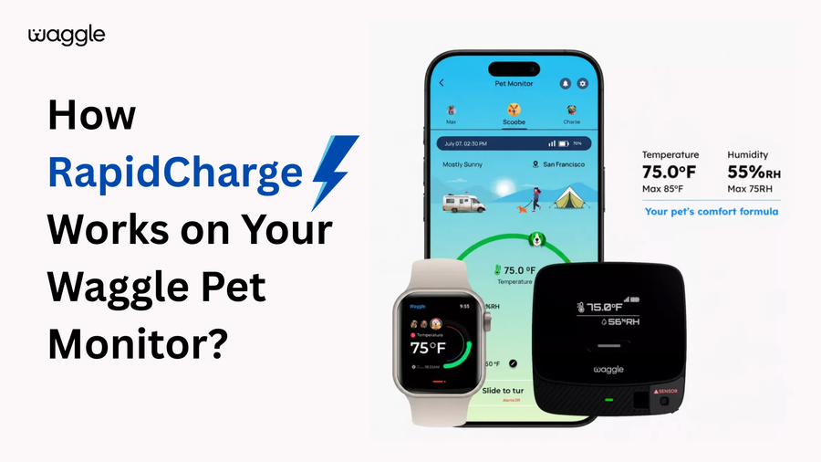 How RapidCharge Works on Your Waggle Pet Monitor