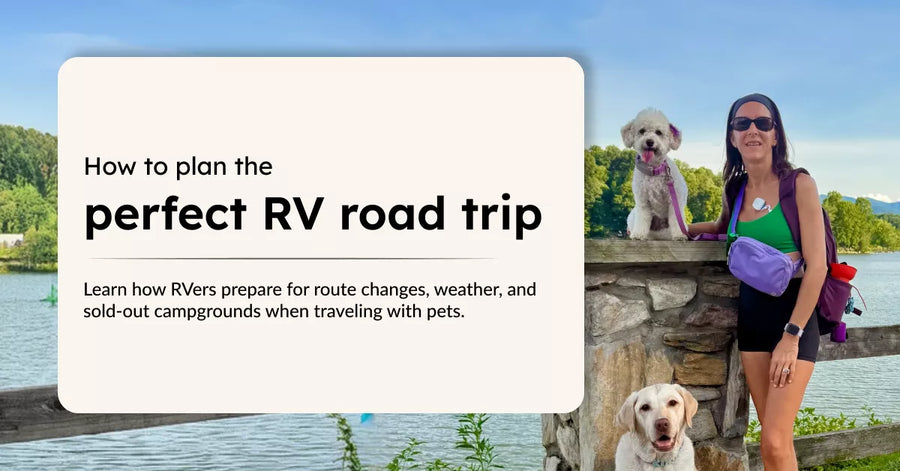 Graphic titled "How to plan the perfect RV road trip" featuring a woman with her two dogs outdoors near a lake.