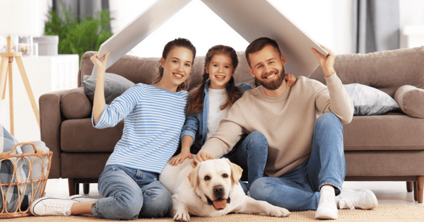 NY Now Allows Dogs to Be Legally